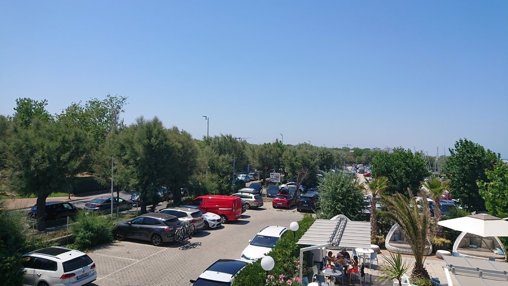 DSC_3445.JPG