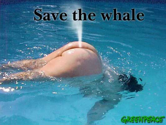 1640886898_savethewale.jpg.cc3682bdbb49bdbd0d91b63d8940c6c6.jpg