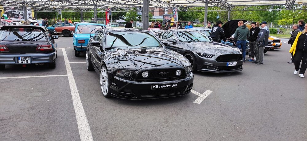 Mustang4.jpg
