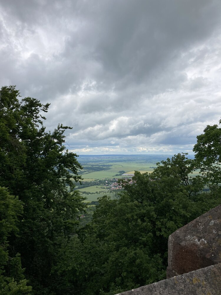 IMG_2870.jpeg
