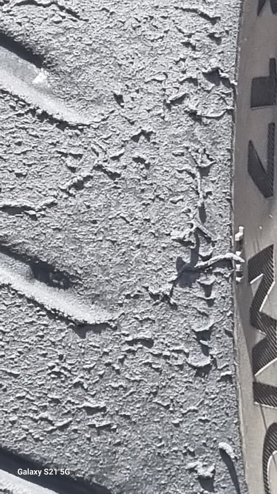 ab65d411-e087-43e1-ad97-e59e80fc738d.JPG