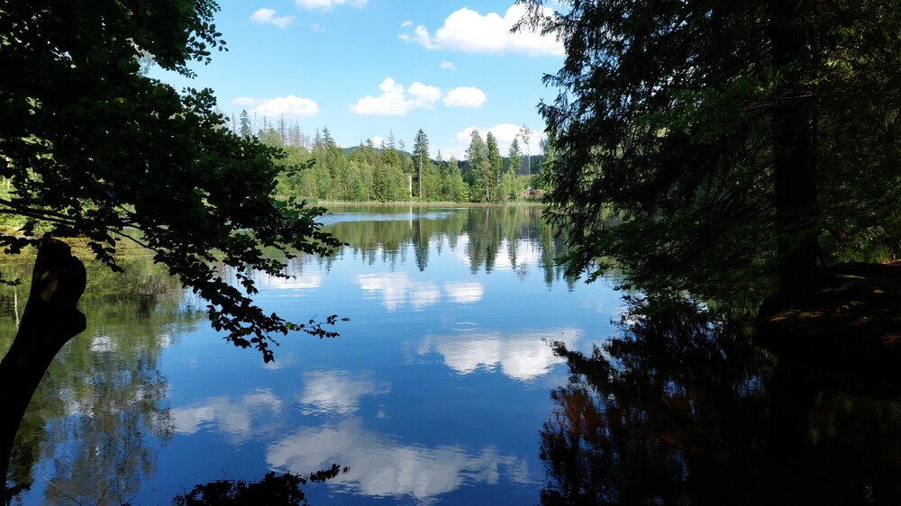 IMG-20240608-WA0003.jpeg