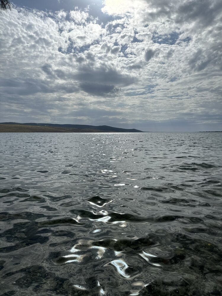 IMG_1784.jpeg