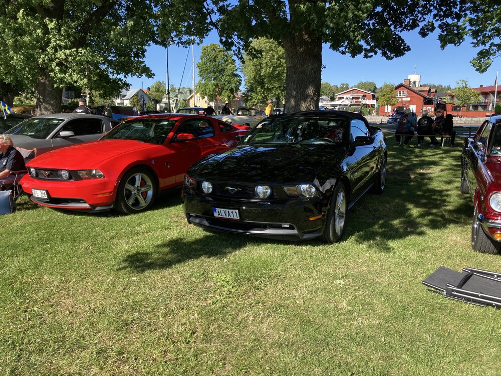 IMG_3335.jpeg