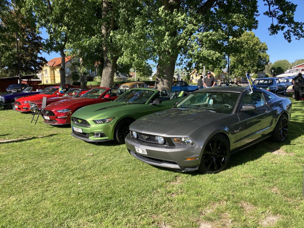 IMG_3339.jpeg