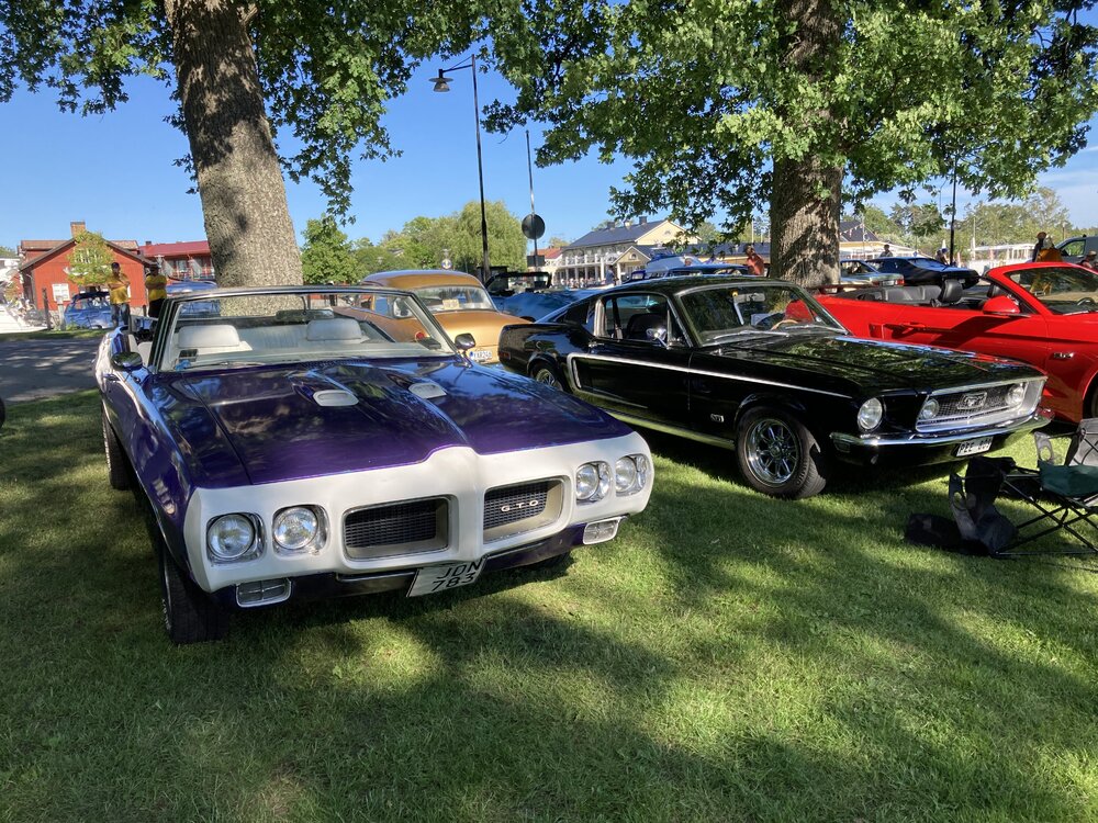 IMG_3345.jpeg