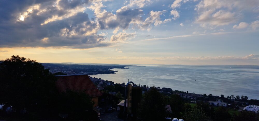 20240808_193621.thumb.jpg.5d37eb1510b1603a2e6ba25a1b9370a5.jpg