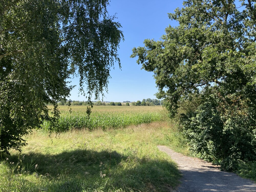 IMG_4139.jpeg