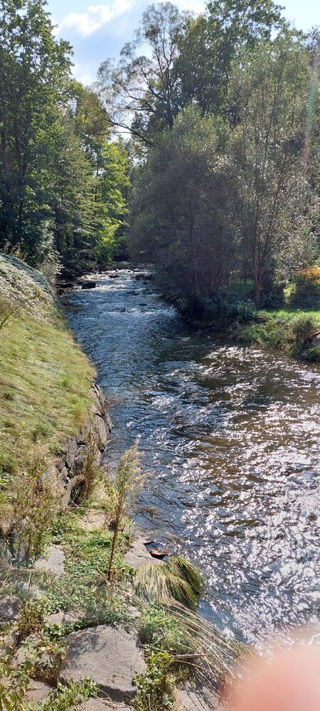 20240919_135825.jpg