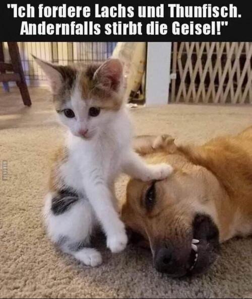 thumbs_picdump849_107.jpeg.ef0d092bec97c945aba33313627b32b4.jpeg.4ebb5036e836244819e12b35d1eb6df5.jpeg