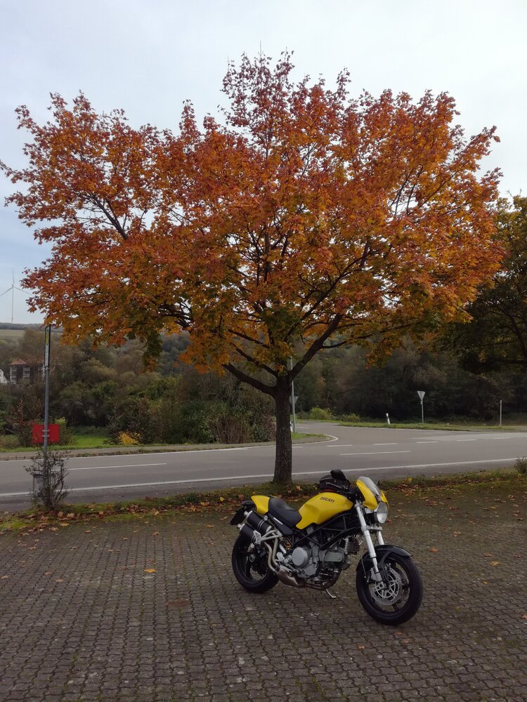 IMG_20241016_120103_1.jpg