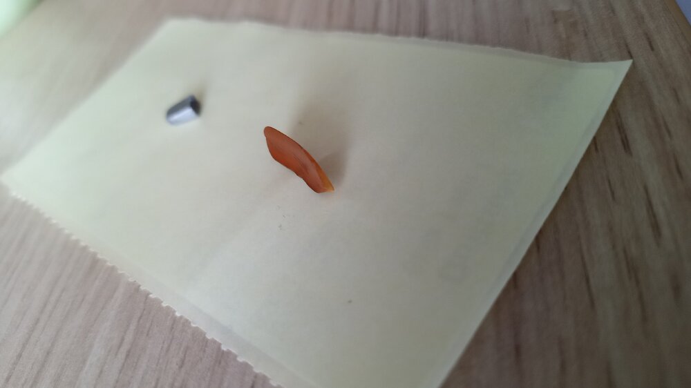 IMG-20260526-WA0004.jpeg