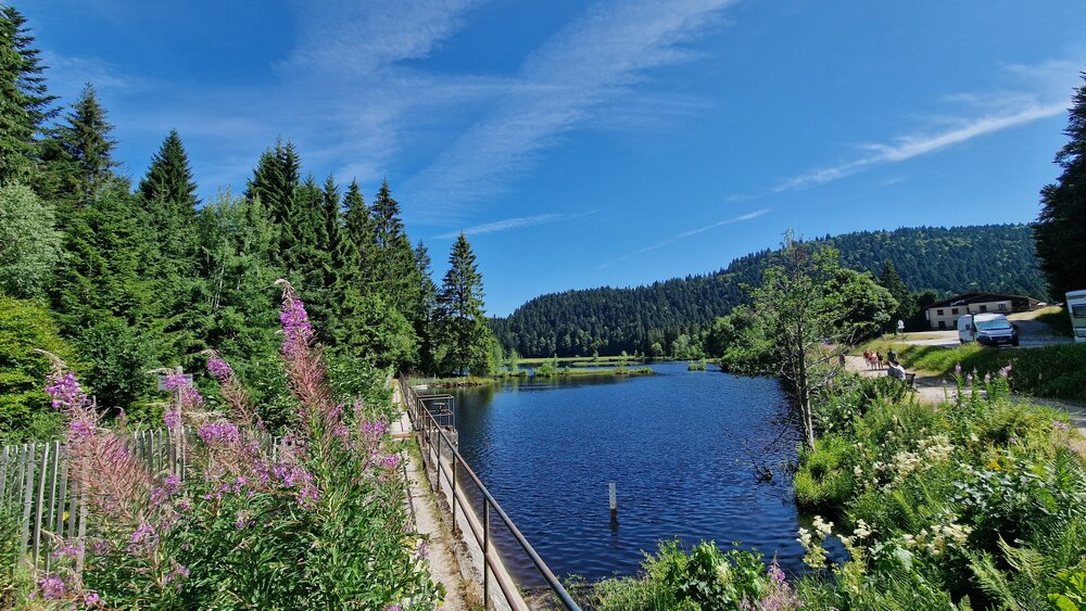 20260712_110350.thumb.jpg.f612ba54bd9e05423189ff51db547686.jpg